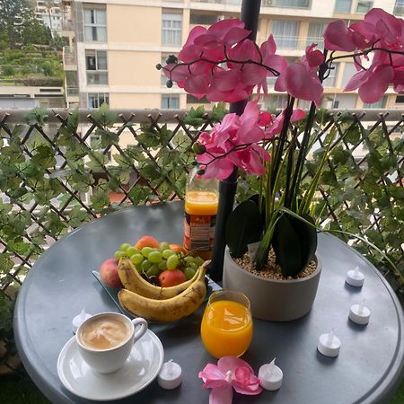 Appart 1 Piece Pointe De La Croisette A Cannes Zewnętrze zdjęcie