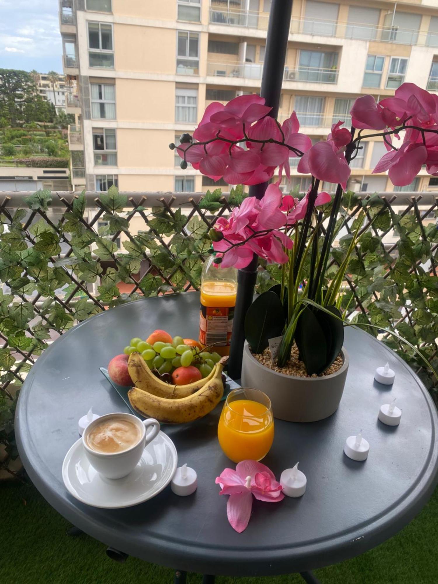 Appart 1 Piece Pointe De La Croisette A Cannes Zewnętrze zdjęcie